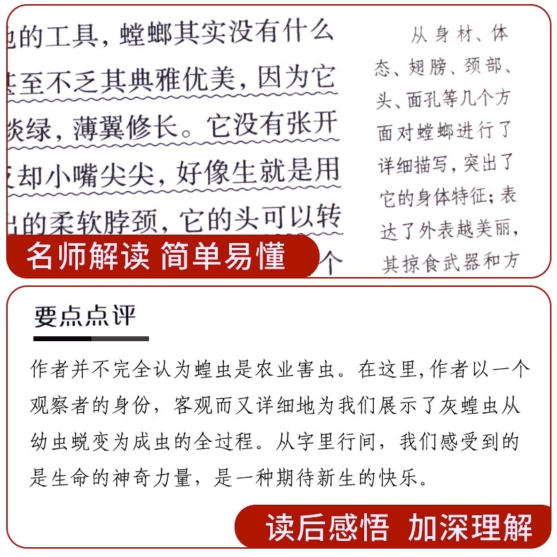 红星照耀中国正版原著完整版无删减人民文学出版社八年级上册阅读名著必读书目8上初二语文教材配套教育文学书籍昆虫记法布尔 - 图2