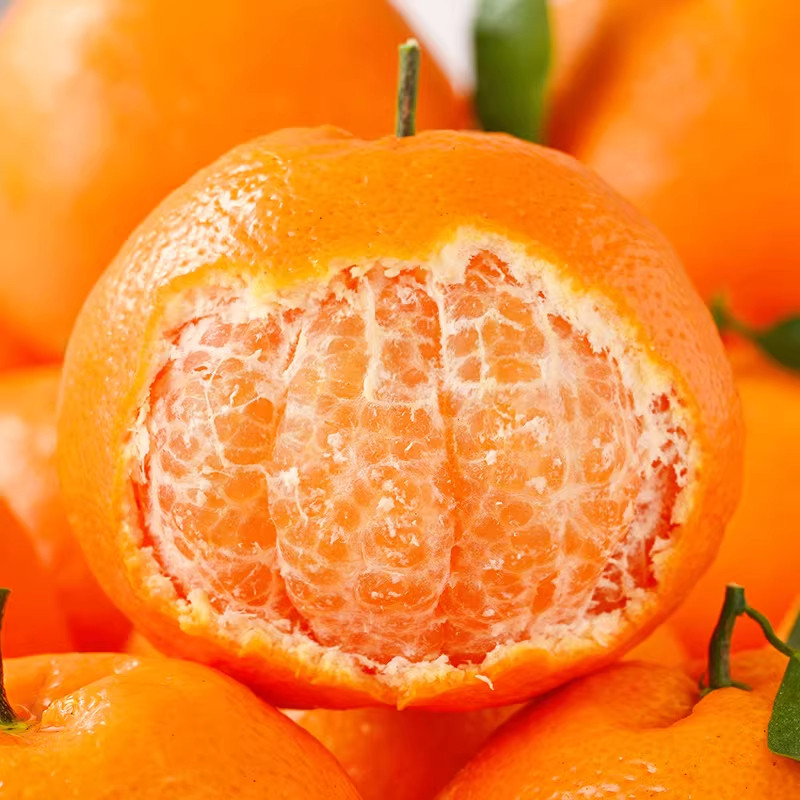 春见耙耙柑粑粑柑新鲜水果橘子当季杷杷柑丑桔子包邮现摘,淘宝优惠券,粉丝福利购,淘宝优惠卷