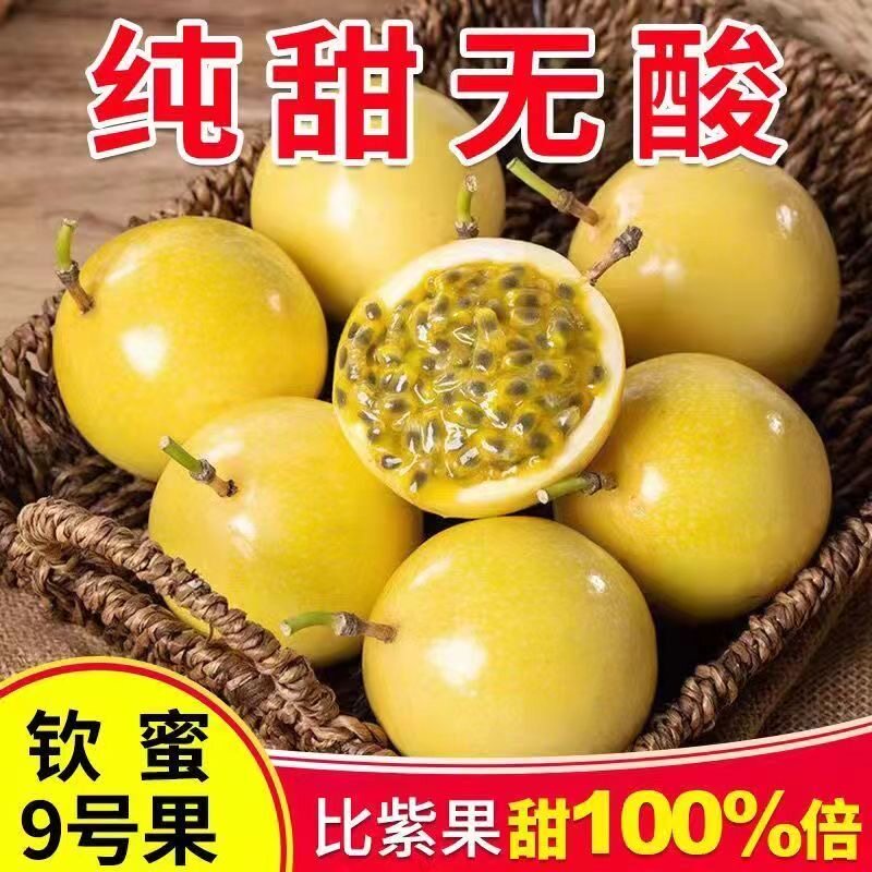 正宗钦蜜9号黄金百香果海南百香果应季新鲜水果当季孕妇蜜蜂甜 正宗钦蜜9号黄金百香果海南百香果应季新鲜水果当季孕妇蜜蜂甜