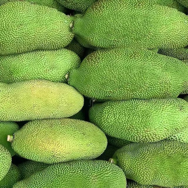 Hainan Yellow Flesh Jackfruit Freshly Picked Whole