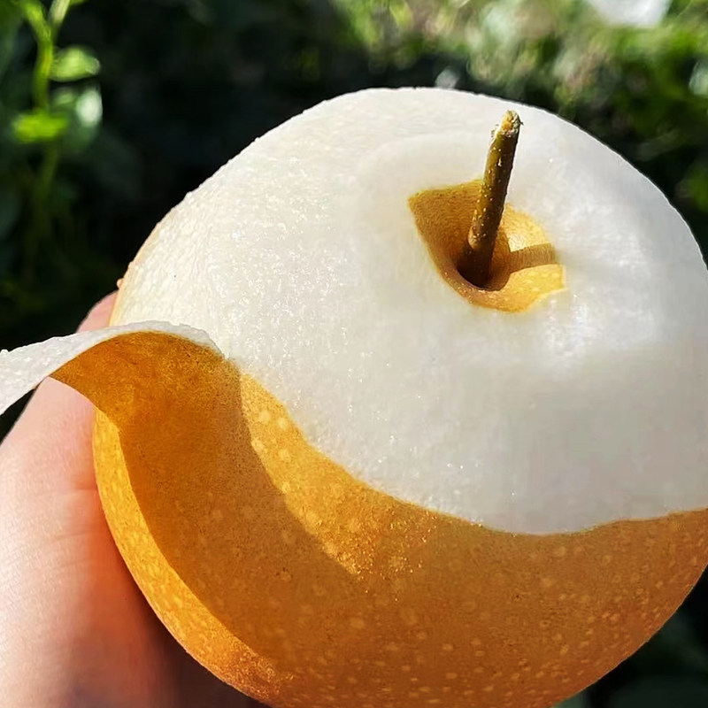 秋月梨脆甜多汁产地直发正宗莱阳秋月梨新鲜采摘皮薄肉厚化渣礼盒,淘宝优惠券,粉丝福利购,淘宝优惠卷