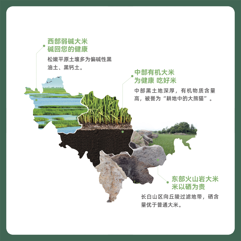 东北大米吉林大米广多5KG新米东北大米绿色食品优质 - 图2