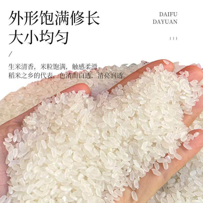 五常大米20斤东北黑龙江寒地黑土稻香米长粒粳米现磨新米5kg×2袋,淘宝优惠券,粉丝福利购,淘宝优惠卷
