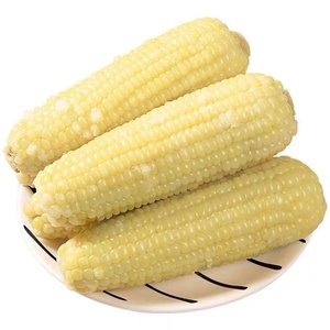 精选白糯玉米240g*8根铝箔装