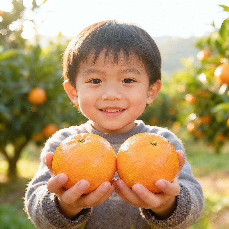 广西沃柑当季特产整箱新鲜孕妇水果沙糖蜜橘砂糖柑橘桔子橘子