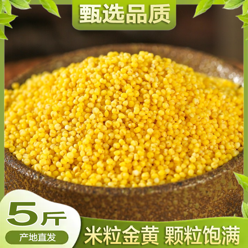 Shanxi yellow millet new rice glutinous millet farmer small yellow rice high quality millet yellow millet grains porridge coarse grains