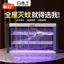 Yangzi Extinction Mosquito Lamp Electric Shock Style Mosquito Killer Fly Canteen Restaurant Commercial Mosquito Killer for home Trapping Mosquito mosquitoes