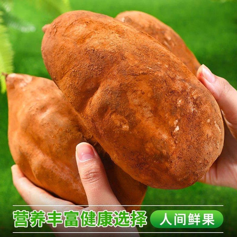 现货天山雪莲果新鲜水果应当季云南孕妇红心雪连果黄心特整箱,淘宝优惠券,粉丝福利购,淘宝优惠卷