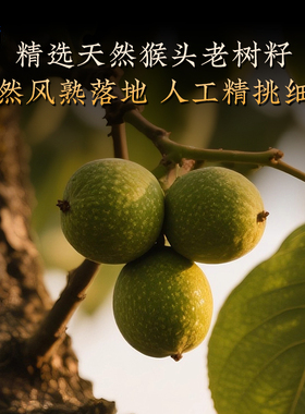 天然猴头手串雕刻京八棱