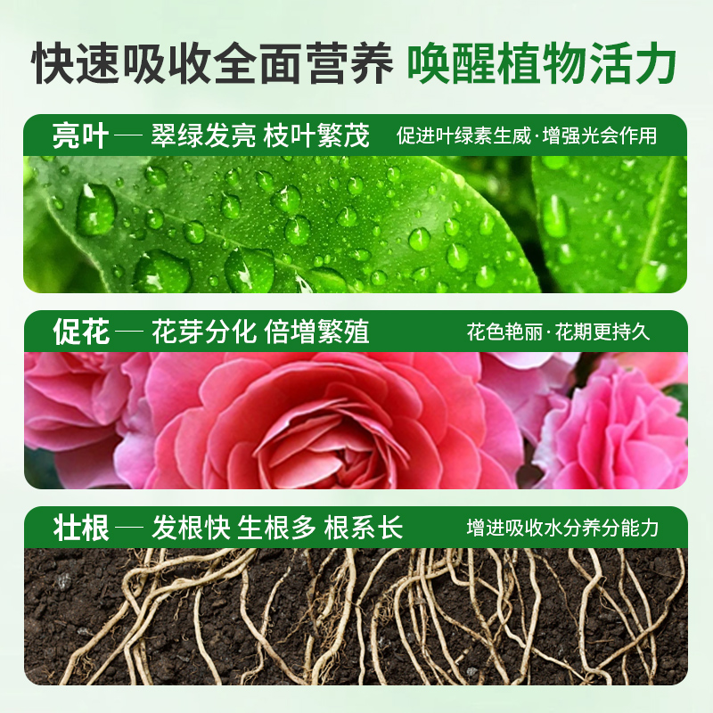 营养液植物通用型养花发财树绿植花卉绿萝叶面喷施免稀释盆栽肥料 - 图1