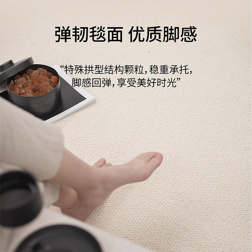 仿剑麻地毯客厅耐磨仿猫爪免洗侘寂中古风地垫奶油高级卧室床边毯 - 图1