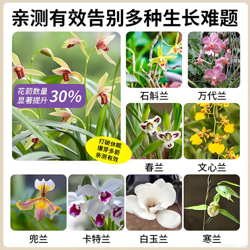 兰花多箭素爆芽素专用营养液剑催花延治黄叶肥料水溶肥开花植物 - 图3
