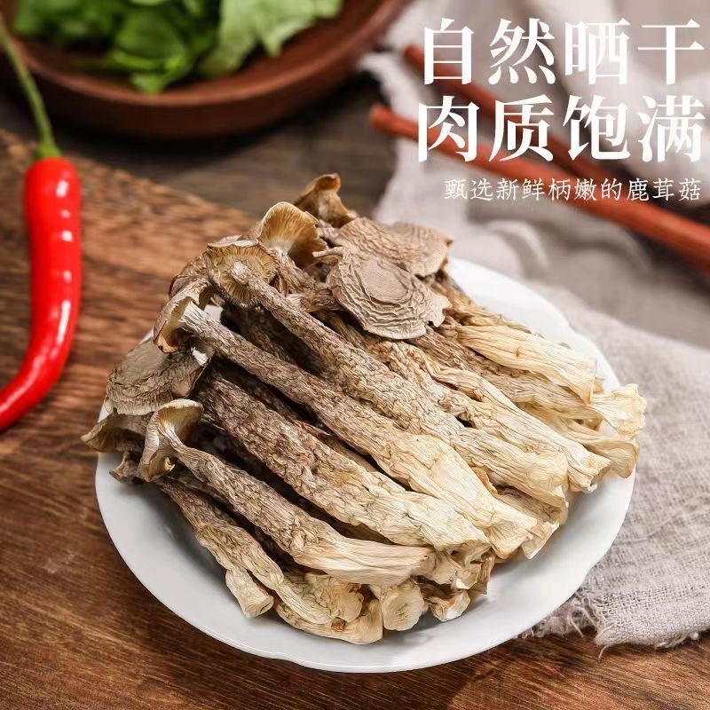 特级鹿茸菇干货鹿茸菌云南食用菌香菇脆脆菇煲汤食材直销500g新鲜 - 图2