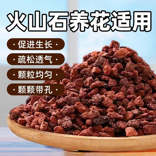 精筛天然火山石铺面兰花专用拌土火山岩颗粒高温灭菌多肉专用土 - 图0