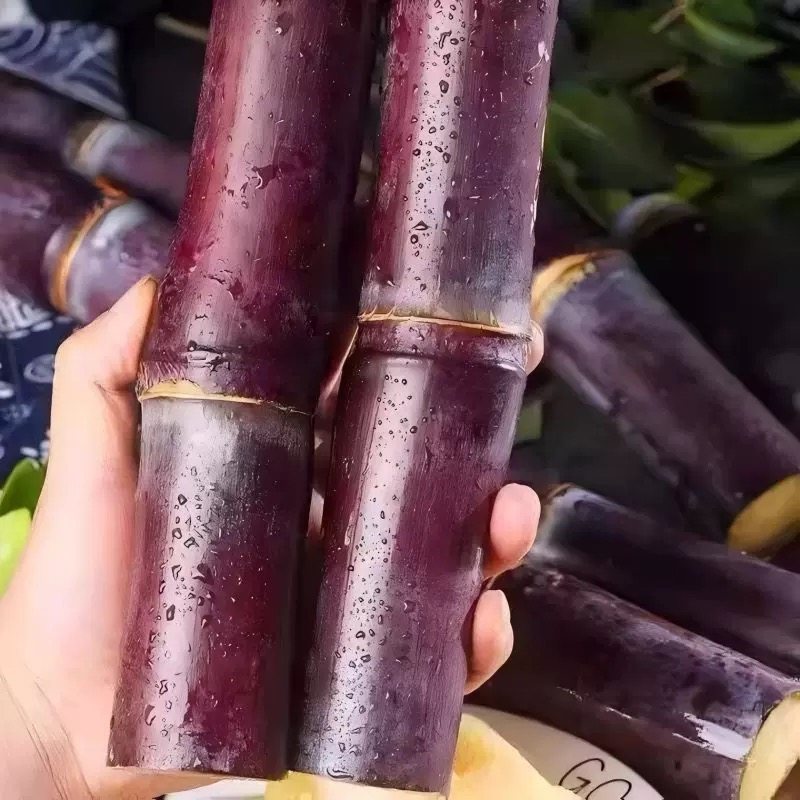 广西黑皮甘蔗新鲜现砍直发当季新鲜水果包邮一级甘蔗特产脆甜榨汁,淘宝优惠券,粉丝福利购,淘宝优惠卷