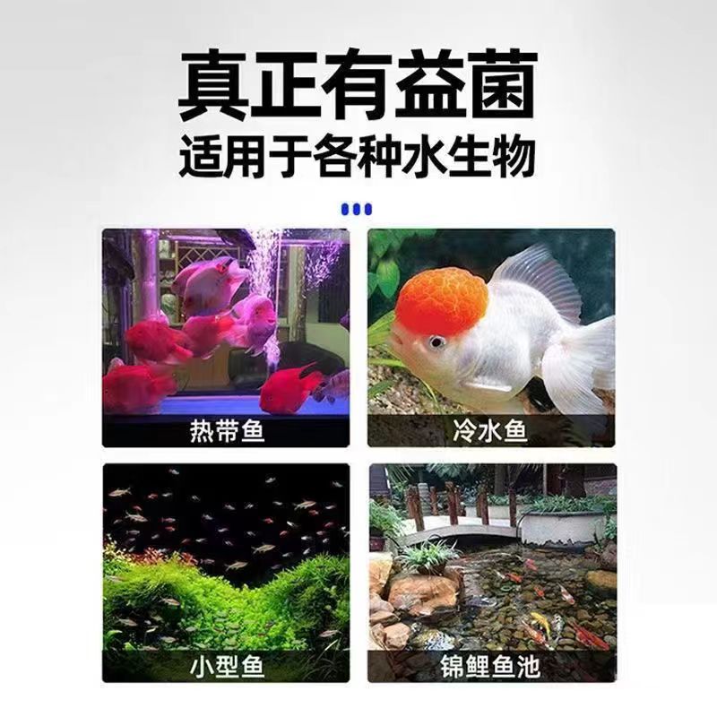 鱼缸硝化细菌胶囊净水剂水质鱼池用品去黄水杆菌亚甲基消化系统 - 图0