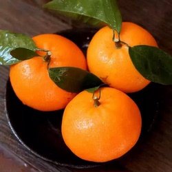 广西沃柑4.5斤60mm+果