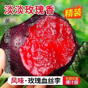当季现摘玫瑰血丝李50+中大果3斤