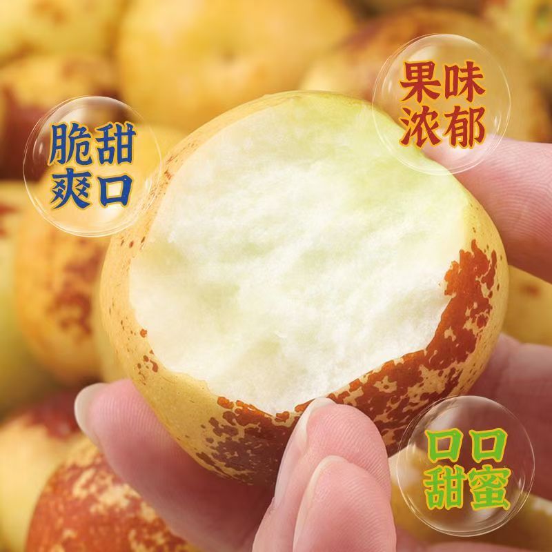 正宗山东沾化冬枣源头果园现摘直发脆甜新鲜多汁产地直发孕妇水果