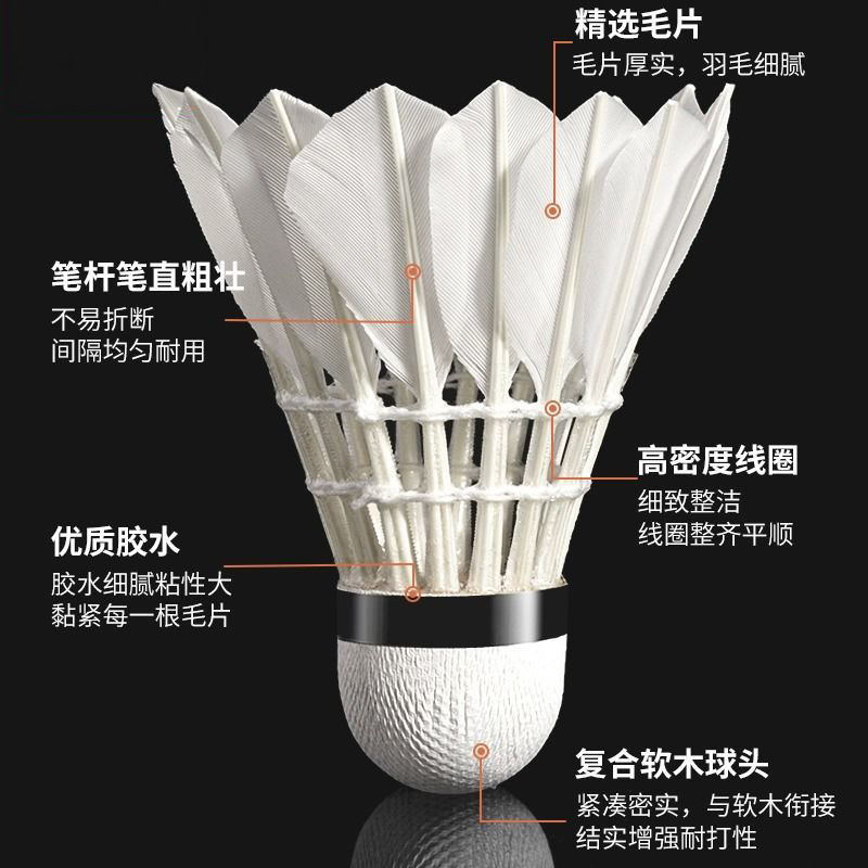 羽毛球正品12只装耐打王黑白羽室外训练比赛专用防风发光尼龙球6