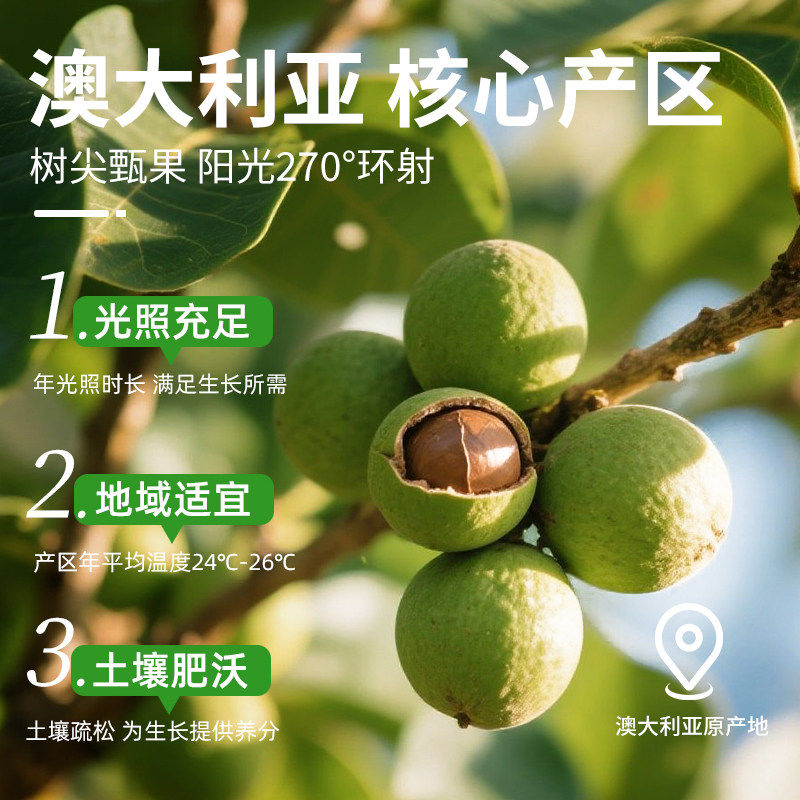 春江月夏威夷果好剥奶油味A大颗粒夏果新货坚果巴旦木腰果碧根果