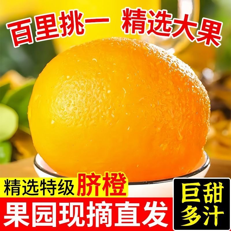 正宗赣南脐橙当季新鲜赣州橙子9斤大果江西甜橙水果果冻鲜橙批发