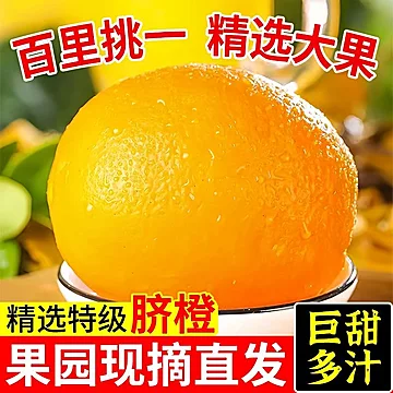 【平晏果园】正宗赣南脐橙带箱9斤[1元优惠券]-寻折猪