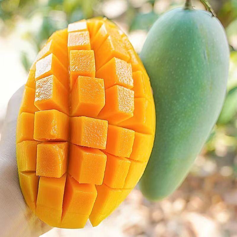 越南进口玉芒新鲜芒果应当季水果整箱包邮大热带特产正宗青皮