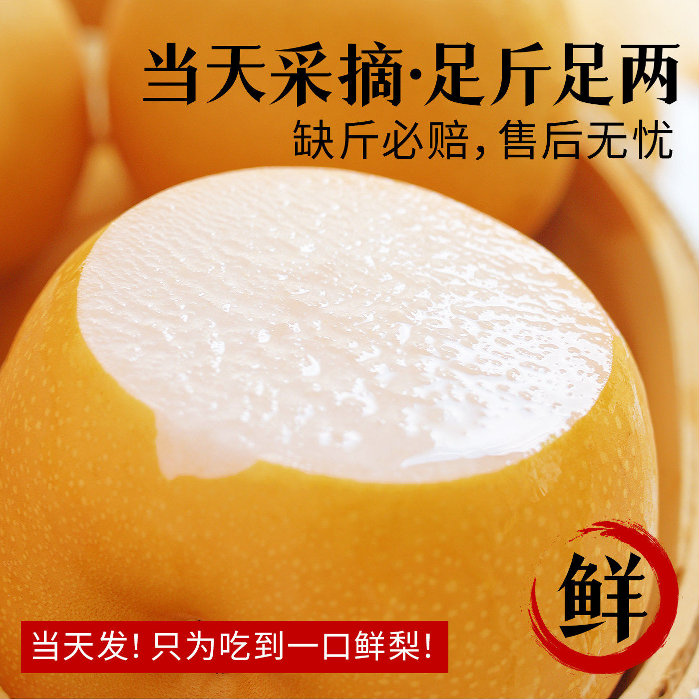 正宗秋月梨新鲜水果10官方正品应季当季新鲜整箱包邮斤梨子限定