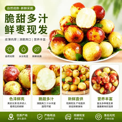 陕西大荔冬枣新鲜应季整箱枣子青枣脆枣大枣5斤当季水果鲜枣现摘-图2