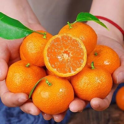 当季正宗广西砂糖橘新鲜水果薄皮沙糖桔子蜜橘子现摘采摘年货节