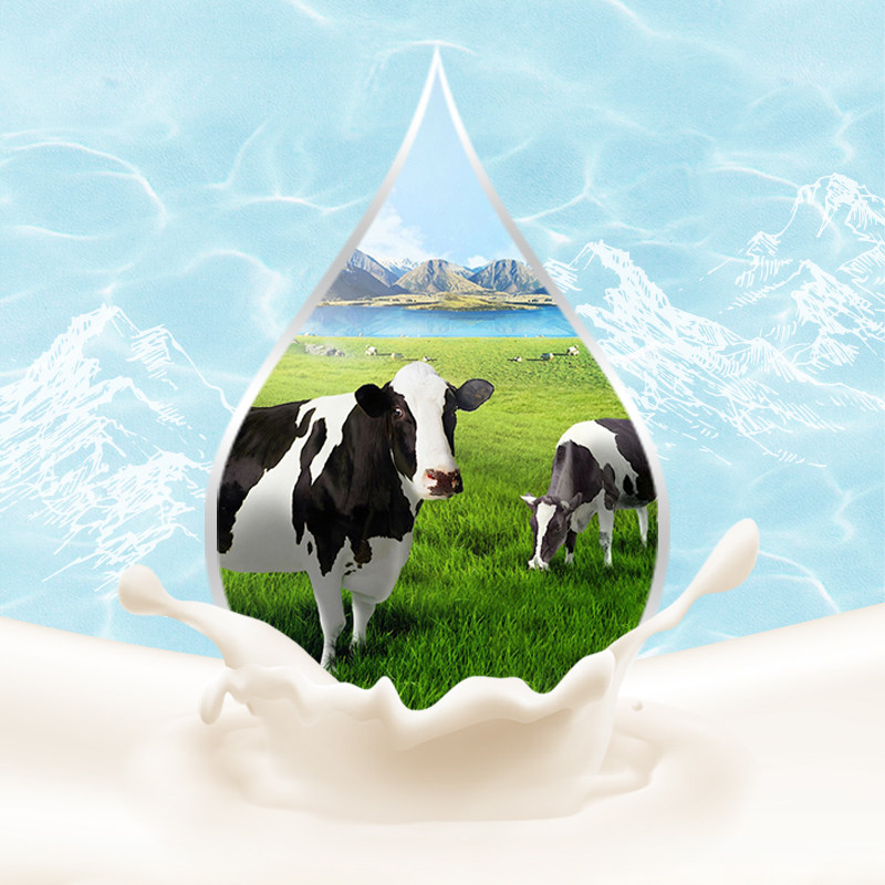 【工厂直销】喜乐小龙人乳酸菌益生菌饮品饮料早餐奶批发