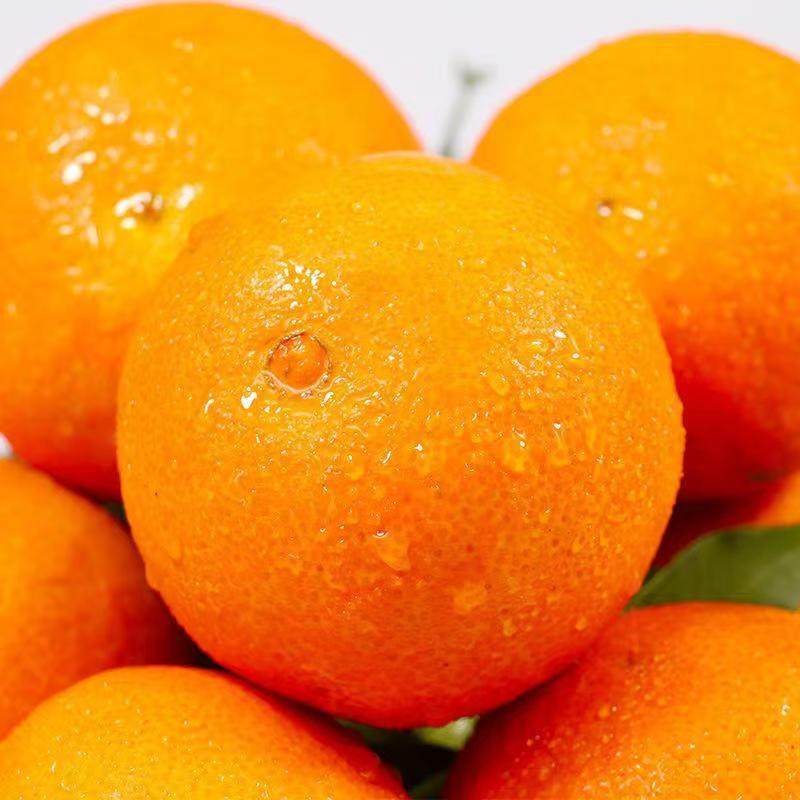 正宗四川爱媛38号果冻橙当季橙子新鲜手剥橙水果爆汁批发包邮,淘宝优惠券,粉丝福利购,淘宝优惠卷