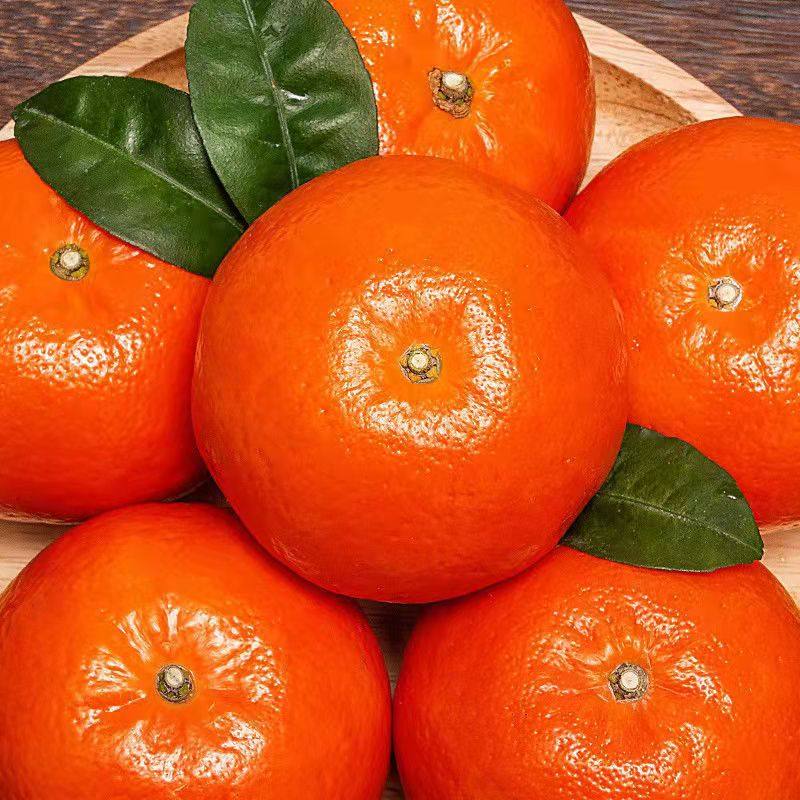 正宗广西武鸣沃柑新鲜水果橘子沙糖蜜橘桔子大果整箱批发年货节,淘宝优惠券,粉丝福利购,淘宝优惠卷