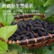 Dried mulberry special grade 500g|over 3000 additional purchases