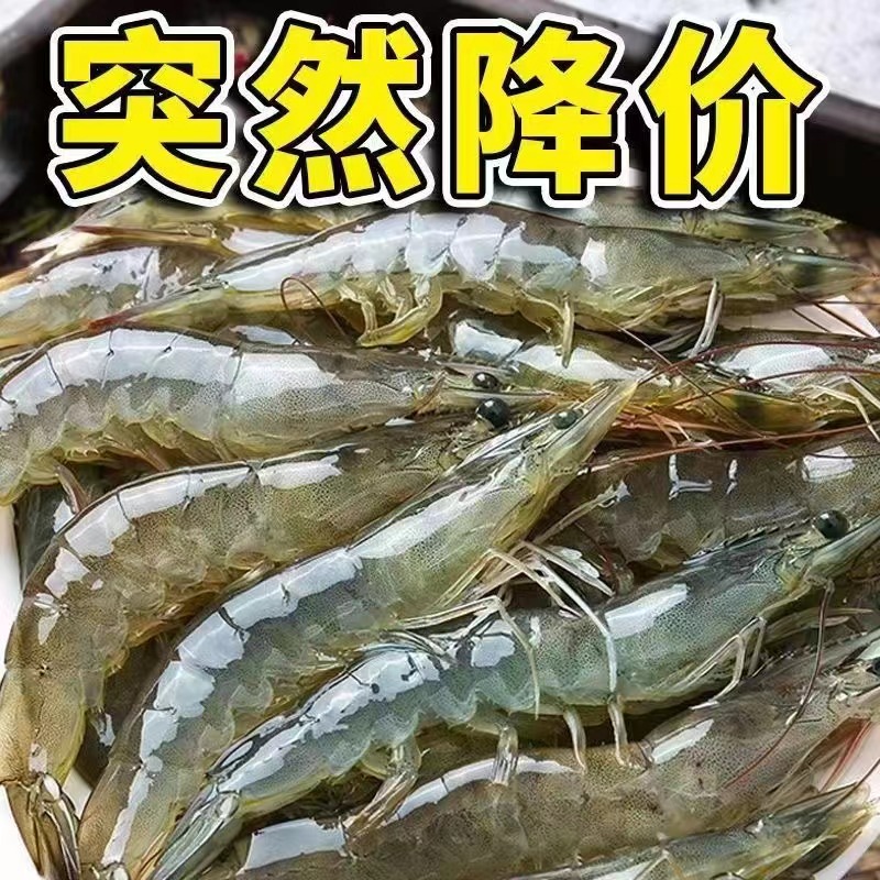 盐冻虾白虾海虾20304050单冻冷冻大虾对虾烧烤水产南美虾厄瓜多尔 - 图0