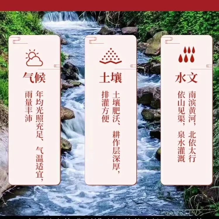 正宗铁棍山药河南焦作垆土小白嘴怀山药铁杆粗淮山药批发5斤新鲜 - 图2