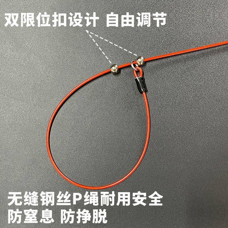 狗狗牵引绳狗绳防爆冲p绳p链大小型犬狗链子防咬遛狗钢丝赛级大狗,淘宝优惠券,粉丝福利购,淘宝优惠卷