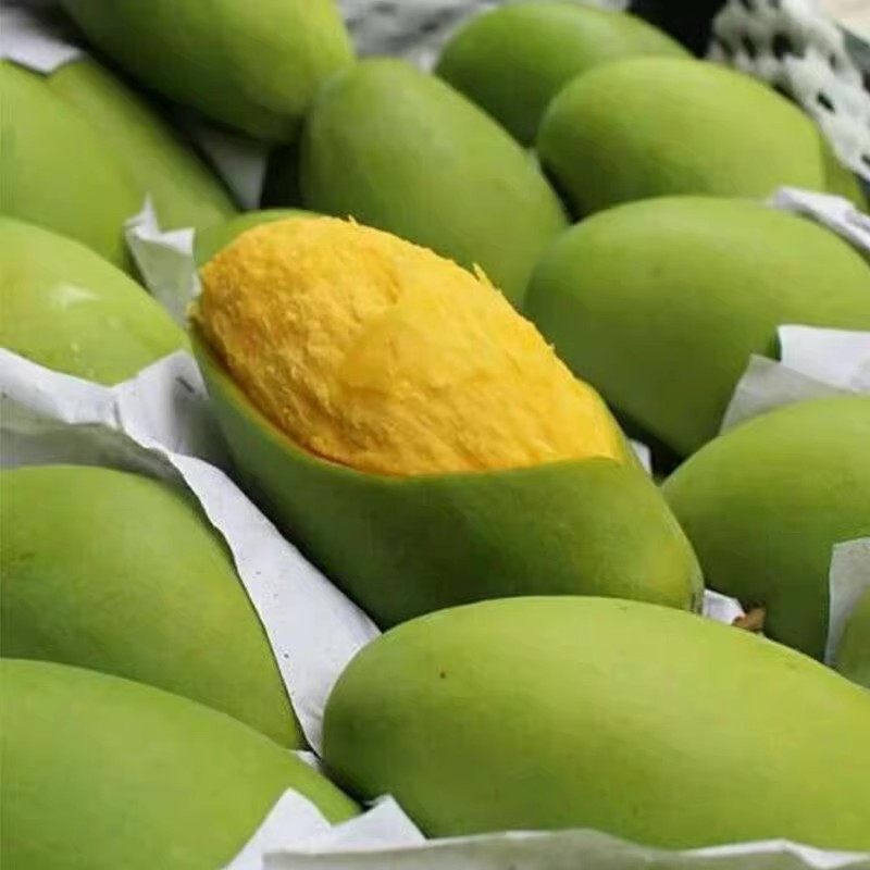 越南玉芒青皮芒果9斤新鲜现摘孕妇甜水果超甜应季大果整箱芒果10,淘宝优惠券,粉丝福利购,淘宝优惠卷