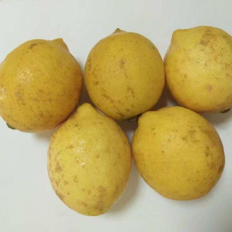 【又丑又真】安岳黄柠檬果面[瑕疵]高山自然生长榨汁泡水果农直发,淘宝优惠券,粉丝福利购,淘宝优惠卷