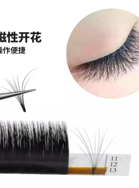 LAGEE拉歌人造纤维浓密假睫毛