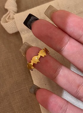 小红书爆款吉象点钻拉丝戒指女款小众设计独特气质食指戒