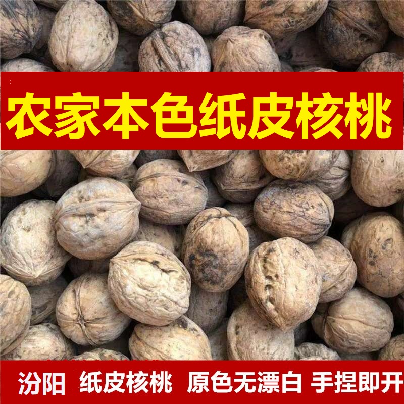 新疆纸皮核桃2023新货核桃仁阿克苏185薄壳薄皮孕妇专用无添加新 - 图2