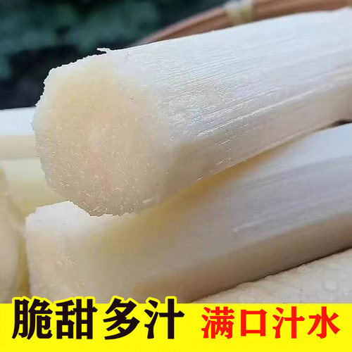 正宗云南黄金脆皮甘蔗新鲜10斤 整根黄皮易去皮现砍甘蔗批发甜杆 - 图0