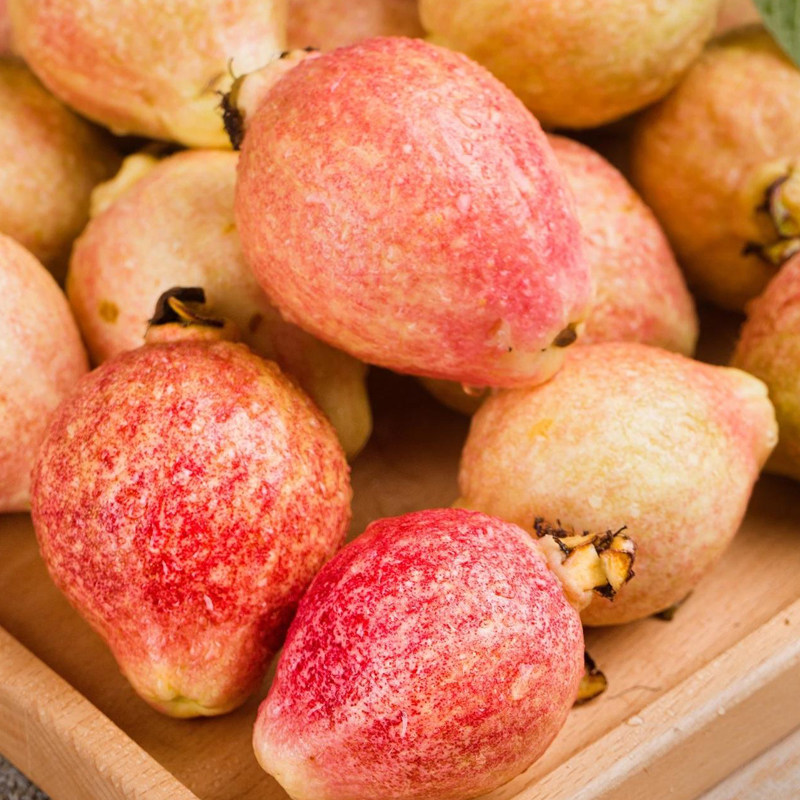 新鲜芭乐水果包邮草莓奶油软糯红心番石榴广东本地当季整箱胭脂红,淘宝优惠券,粉丝福利购,淘宝优惠卷