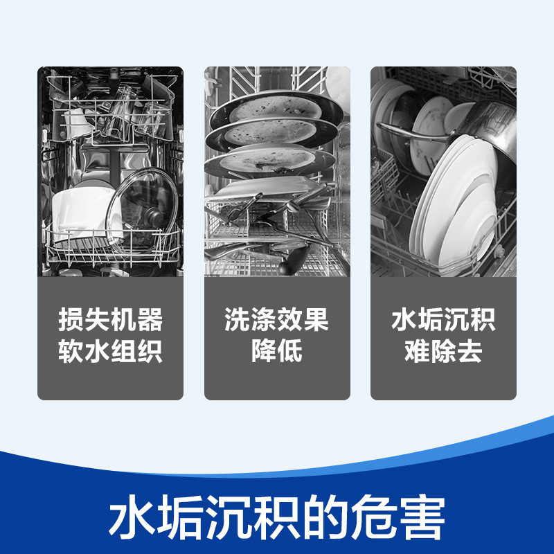 Prevent scale dishwasher finish/rinse salt