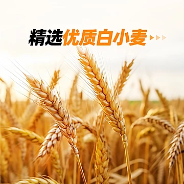 【百钻】低筋面粉蛋糕粉500g高筋面粉小麦粉[1元优惠券]-寻折猪