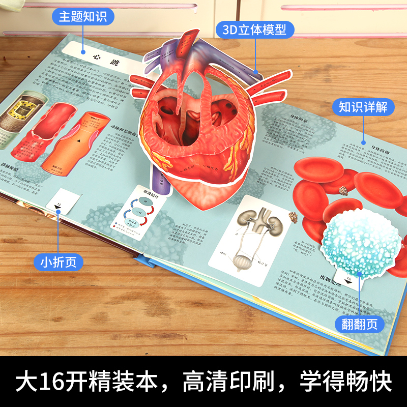 人体立体书 儿童3-6岁以上少儿科普百科全书3d翻翻书幼儿我们的身体儿童3d立体书人体的结构书小学生一二三年级非必读课外书籍绘本 - 图3