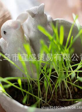 跨境复活节 兔子盆栽装饰品摆件 设计装饰兔子伙伴可爱北欧风