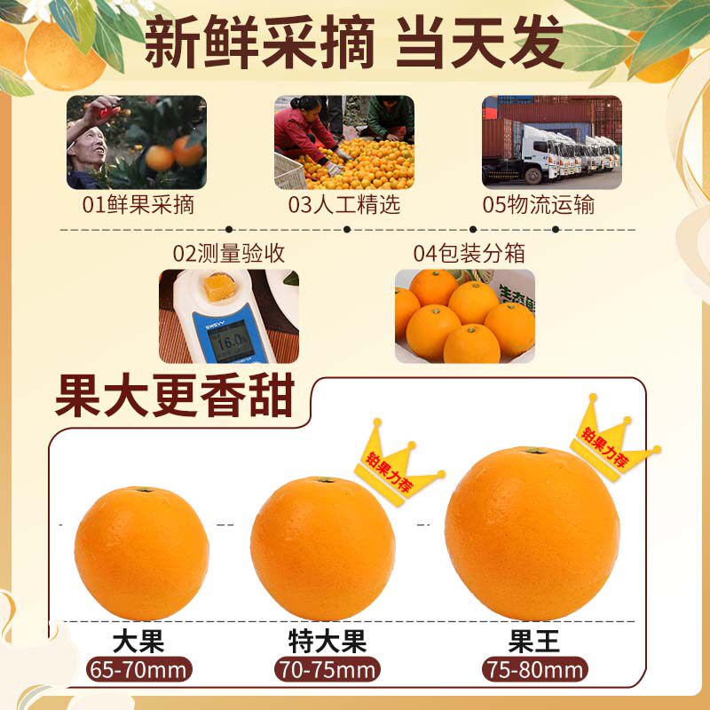 顺丰湖南正宗麻阳冰糖橙当季新鲜水果现采20斤手剥甜橙整箱包邮甜,淘宝优惠券,粉丝福利购,淘宝优惠卷